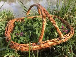Panier de plantes 2